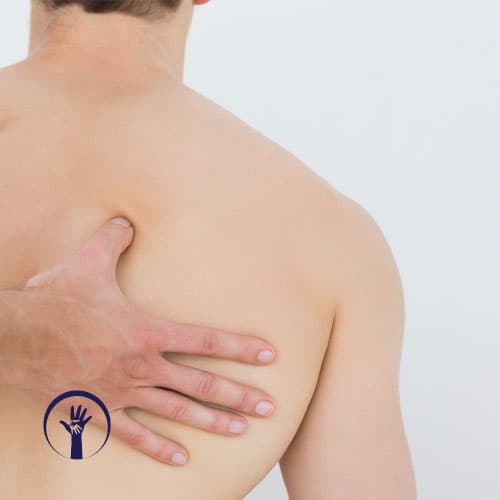 Anatomia Palpatória Clínica