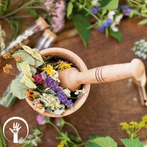 Formação Master em Naturopatia